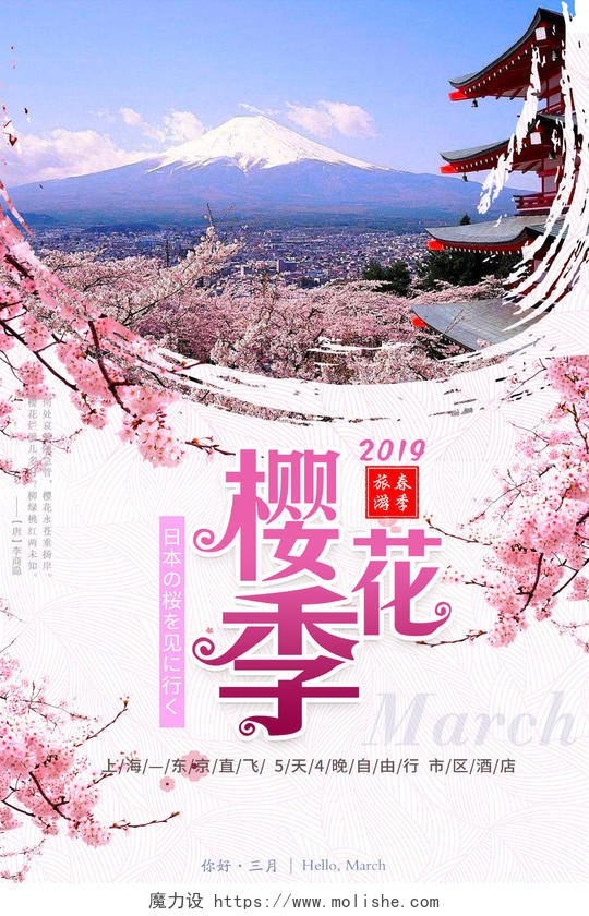 2019年三月份春季日本樱花季遇见最美樱花